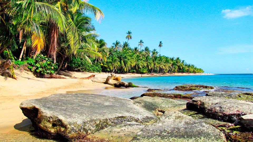 bellwood-travel-agency-