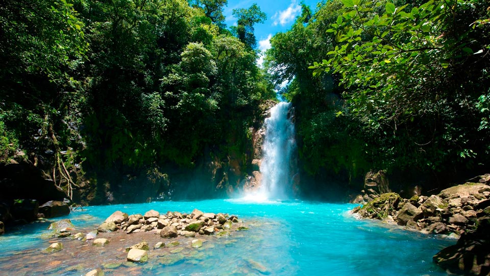 bellwood-travel-agency-